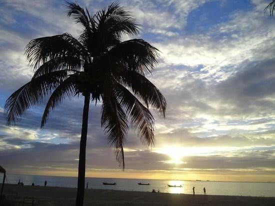 Clima: Temperatura templada para Quintana Roo