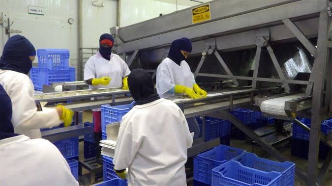 China detecta rastros de Covid-19 en comida ecuatoriana; suspende importaciones