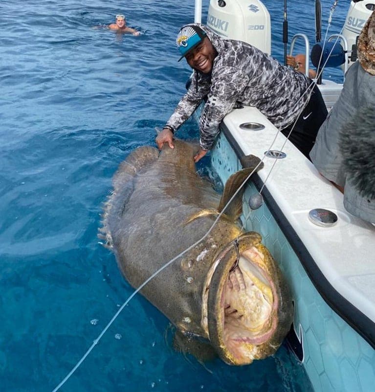 Video: Jugador de la NFL pescó un "Goliath" de 182 kilos