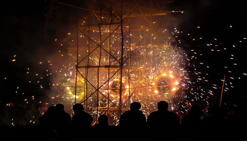 Fuegos artificiales o 'cohetes' dañan pulmones de animales y células humanas