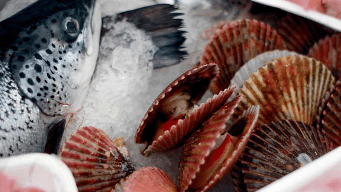 ¡Advierte Sesa sobre toxina! Estos son los pescados que no debes consumir