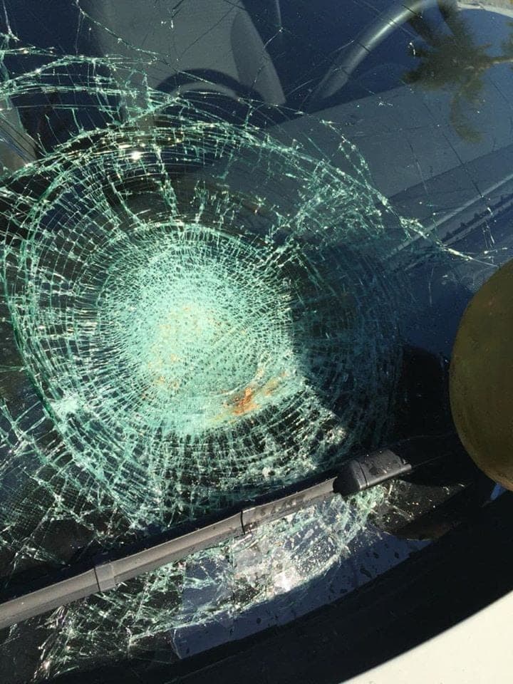 ¿Crees tener mala suerte? A él un coco le estrelló su parabrisas