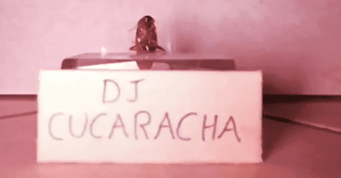 "Dj Cucaracha" transmite set en vivo y se vuelve viral