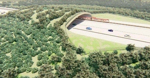 Así serán los pasos de fauna del Tren Maya