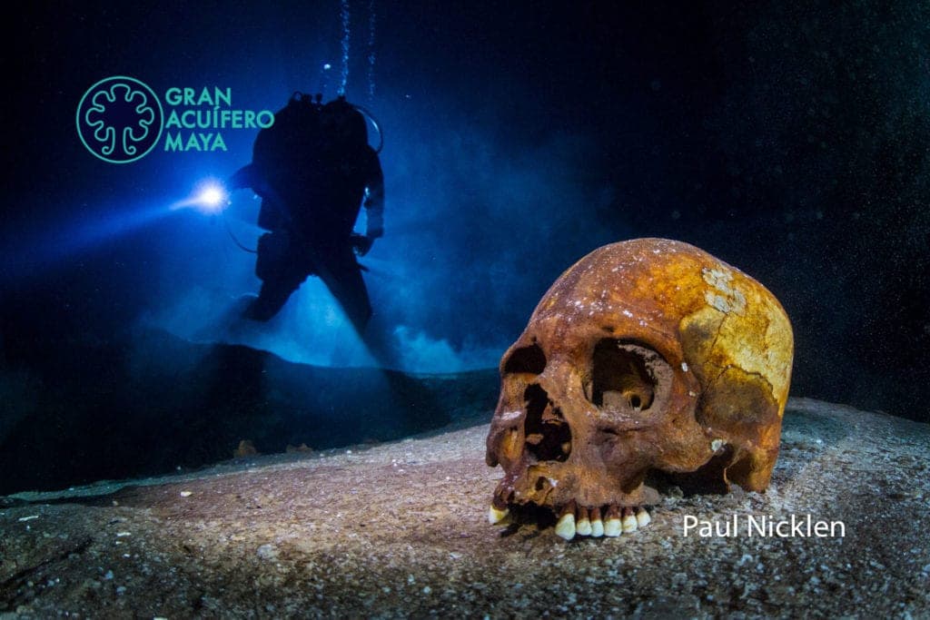 El documental El Gran Acuífero Maya representa a México durante Festival de Cine de la Universidad de Carolina del Sur