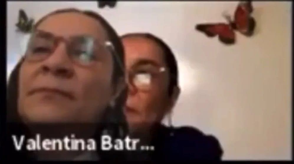 Video: Diputada truquea Zoom para simular que estaba en sesión