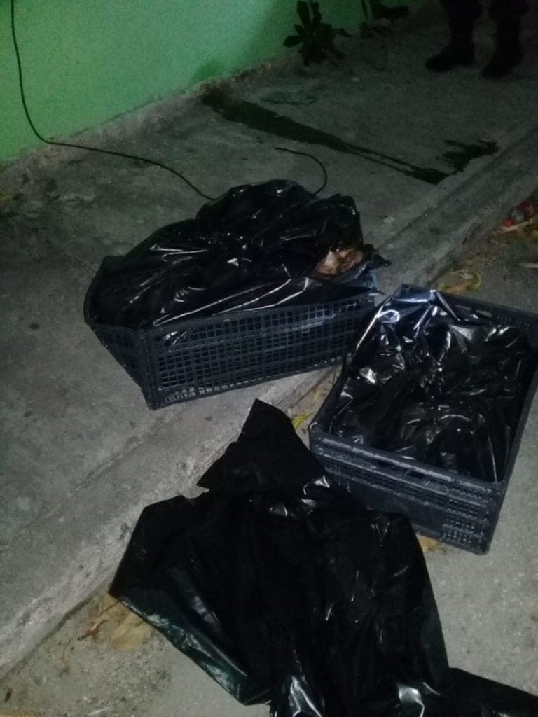 Cruda violencia: Hallan cuerpo descuartizado en Cancún