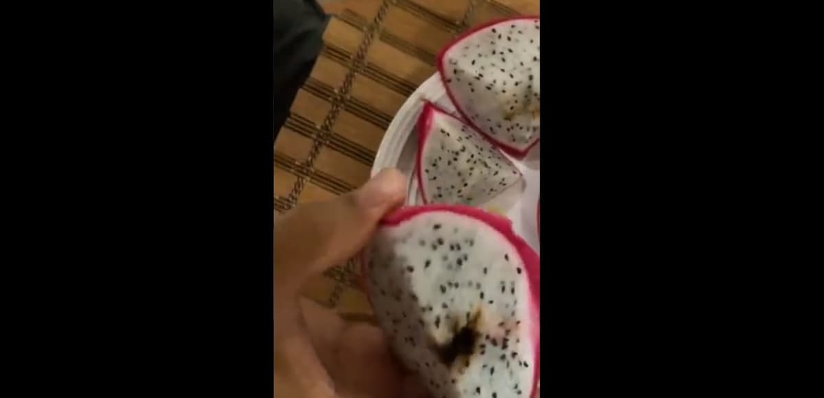 AMLO presume una suculenta pitahaya en Twitter