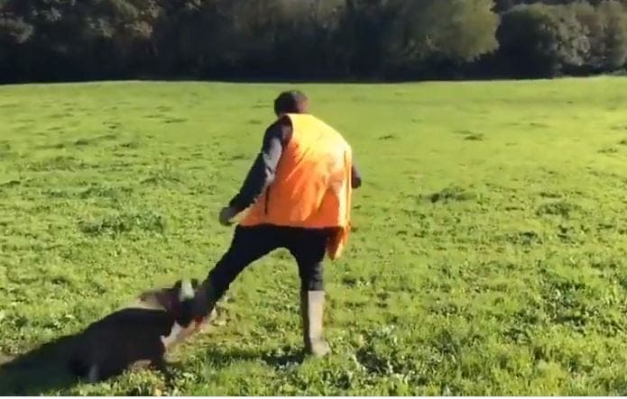 Video: ¡Jabalí 'se venga' de sus cazadores! Se hace el muerto y los corretea