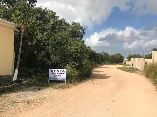 Venta ilegal de lotes ha perjudicado a 14 mil 800 personas en Cancún