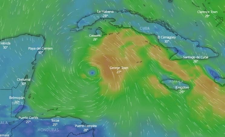 ¿Estrategia? Joe Biden se hace viral por pedir dinero para su campaña por Twitter