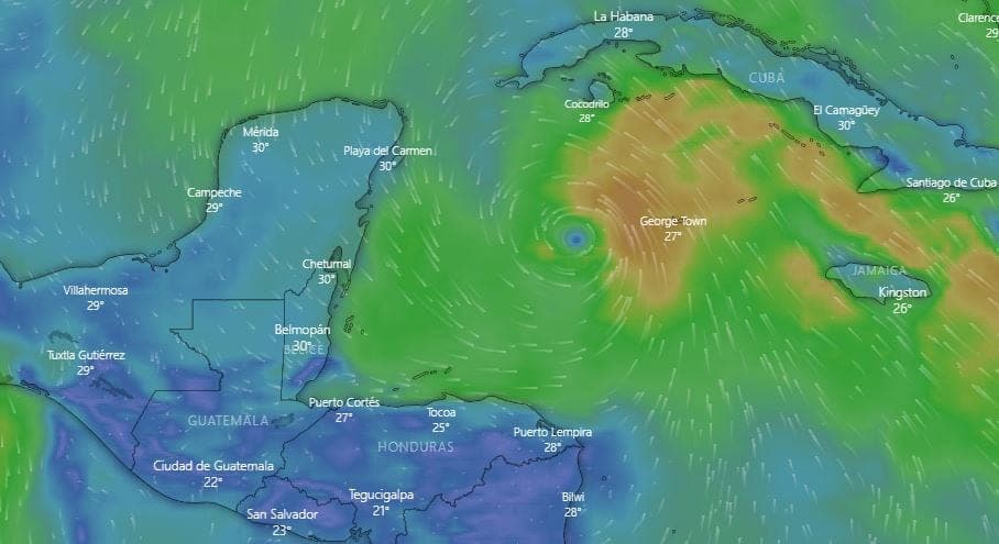 ¡Increíble! Joven paga su carrera universitaria vendiendo "fotopies"