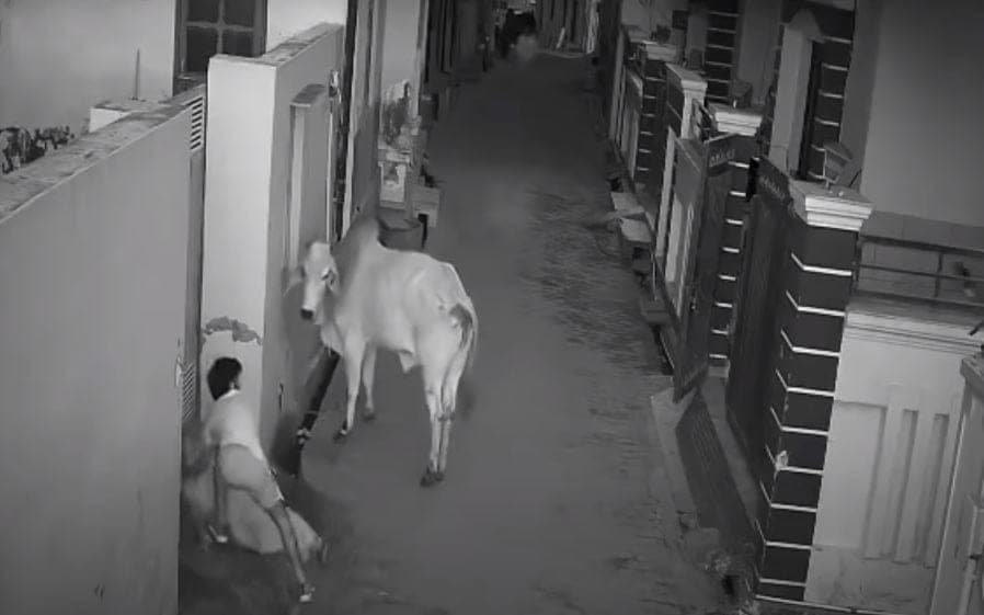 Slim propone jubilación a los 75 años y jornadas de 11 horas para "evitar la quiebra"