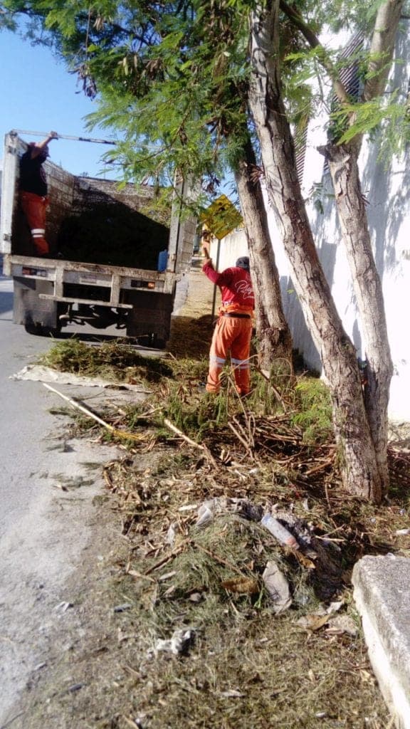 Brigadas de limpieza levantan más de 2 mil árboles que dejó "Delta" en Playa del Carmen