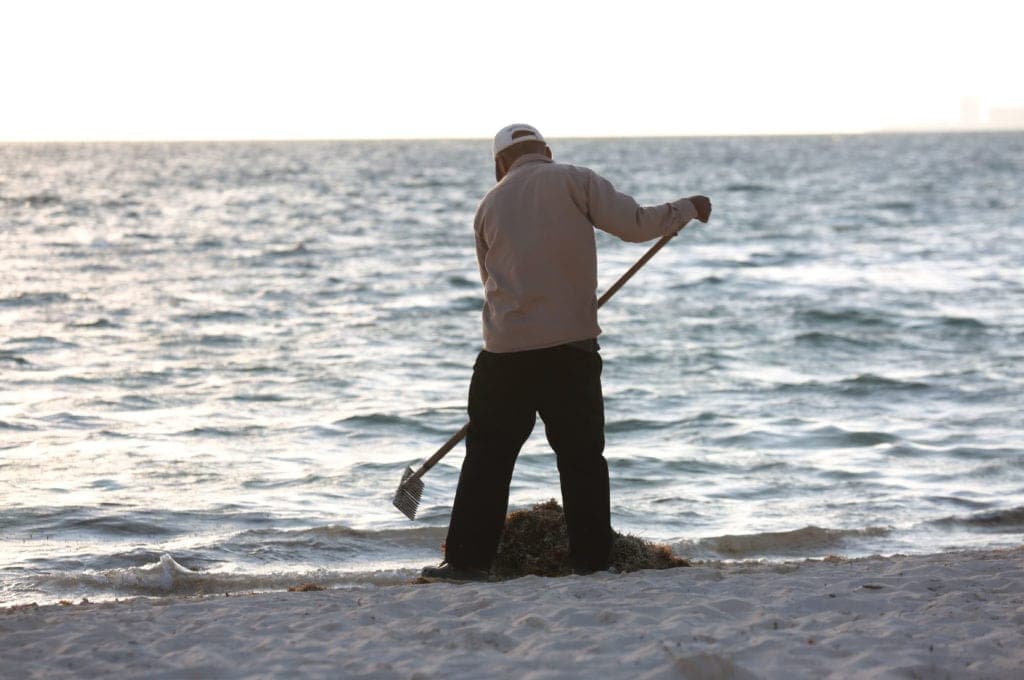 Mantienen en Cancún playas limpias y libres de sargazo