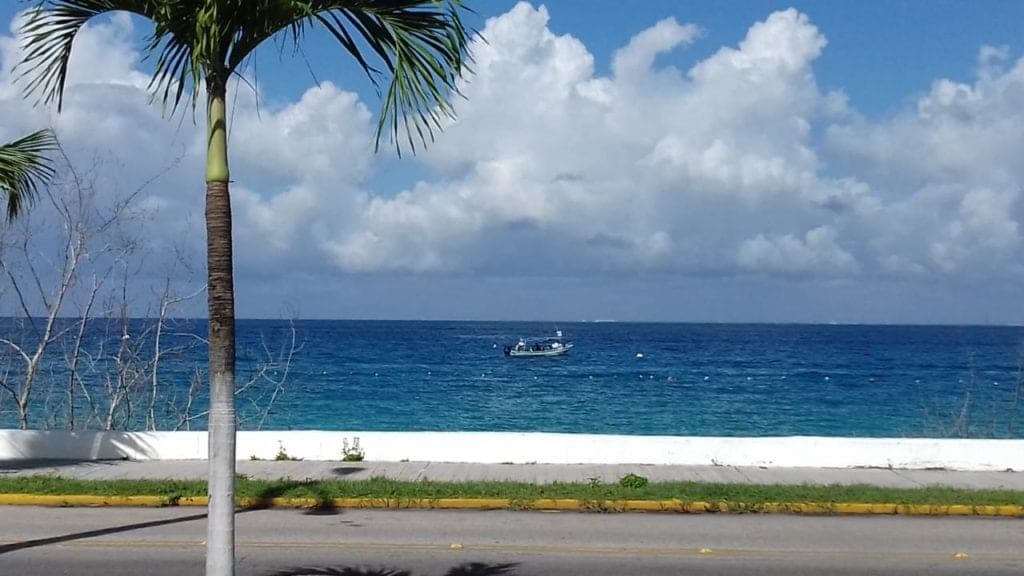 Cuarto muelle en Cozumel se autorizó sin estudio de impacto ambiental: Citymar