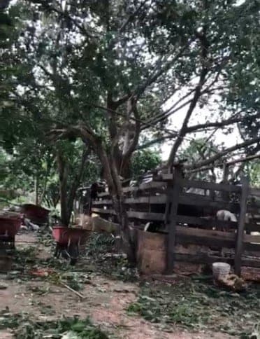 Sector agropecuario de Solidaridad, en espera de apoyos gubernamentales