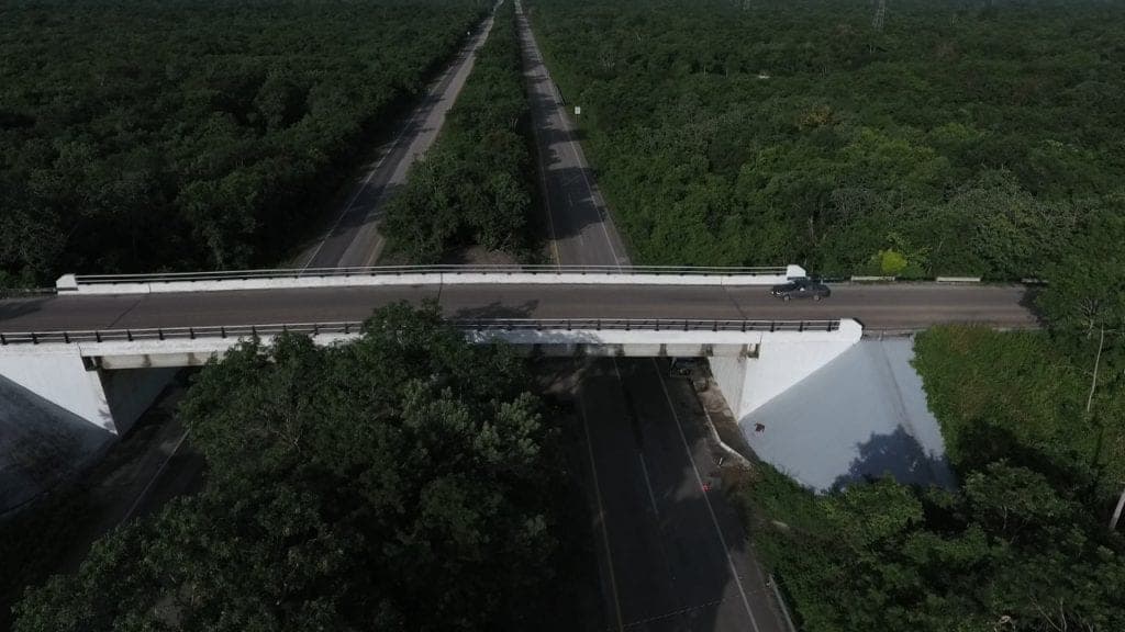 Se ampliará a cuatro carriles la autopista Kantunil-Cancún por Tren Maya