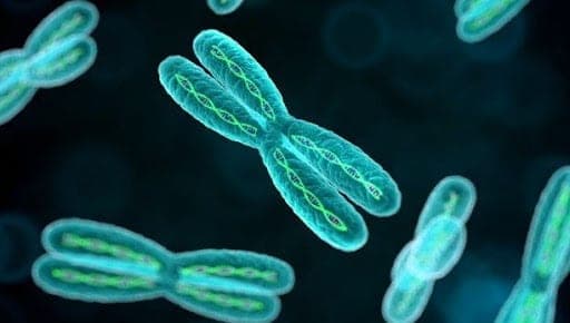 ¡Por primera vez! Científicos israelíes aseguran haber revertido parcialmente el envejecimiento celular