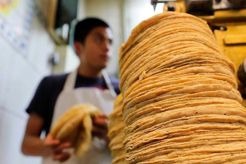 Aumentará el precio de la tortilla si el gobierno no toma acción: empresarios