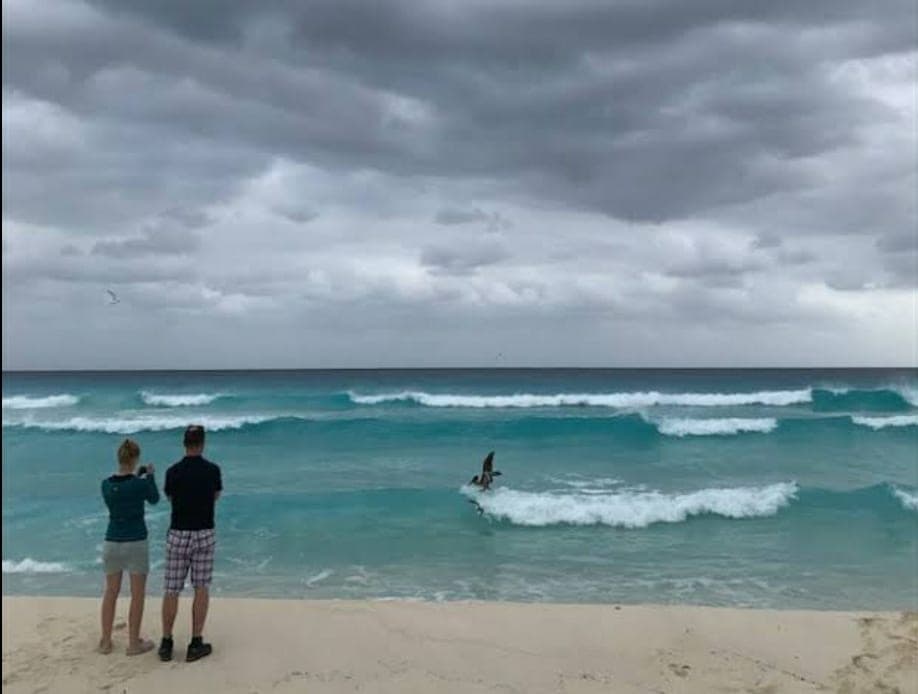 Frente Frío N° 13 traerá temperaturas bajas a Quintana Roo este miércoles