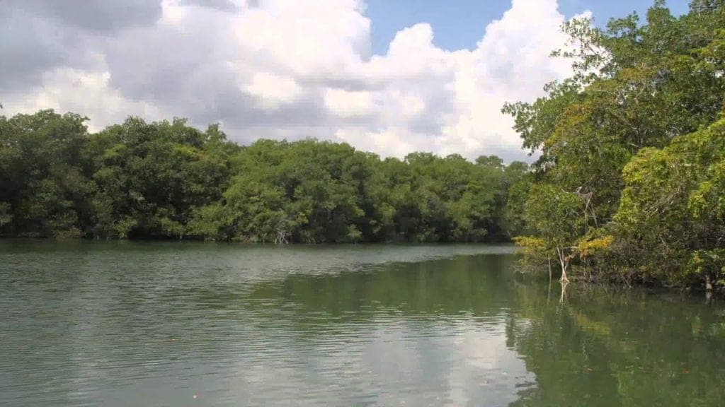 Chetumal, alertan a familias por posibles desbordamientos en río Hondo