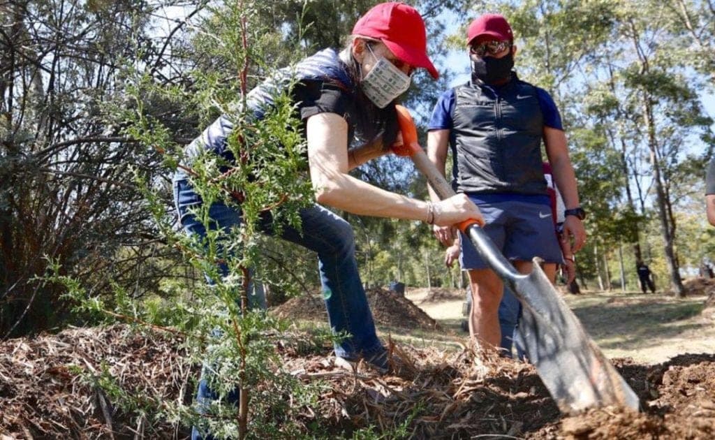 Sheinbaum realizó recorrido de supervisión, tras los trabajos de restauración en el Bosque de Chapultepec
