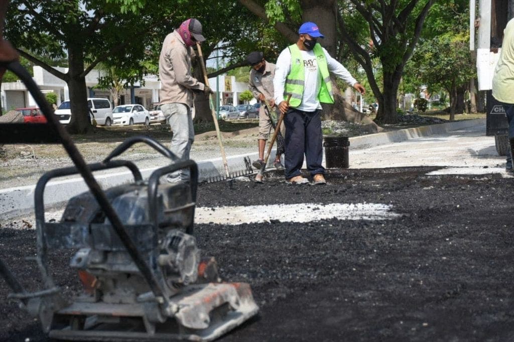 Con intensas labores de limpieza, mantenimiento y poda, embellecen Puerto Morelos