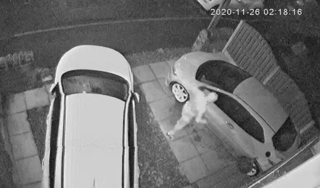 Video: Malandro intenta quemar 2 autos y termina huyendo en llamas