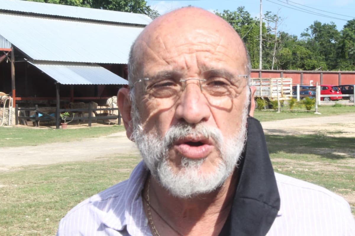 Según el senador suplente, las alianzas de los partidos políticos no lo son todo