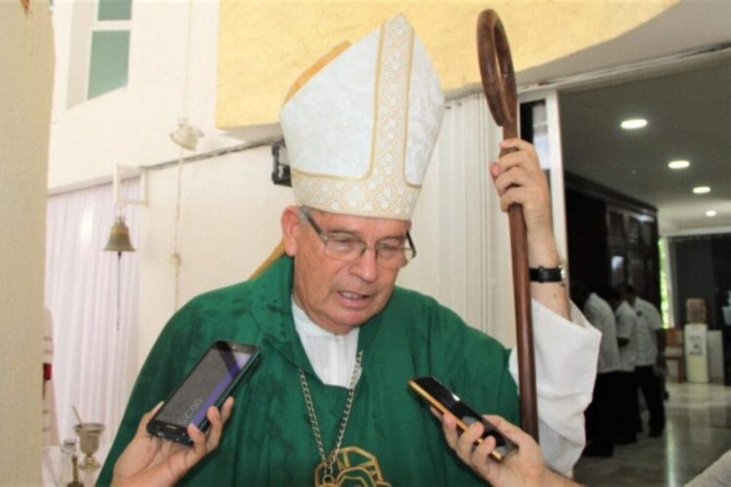 Violenta Pedro Pablo Elizondo legislación electoral
