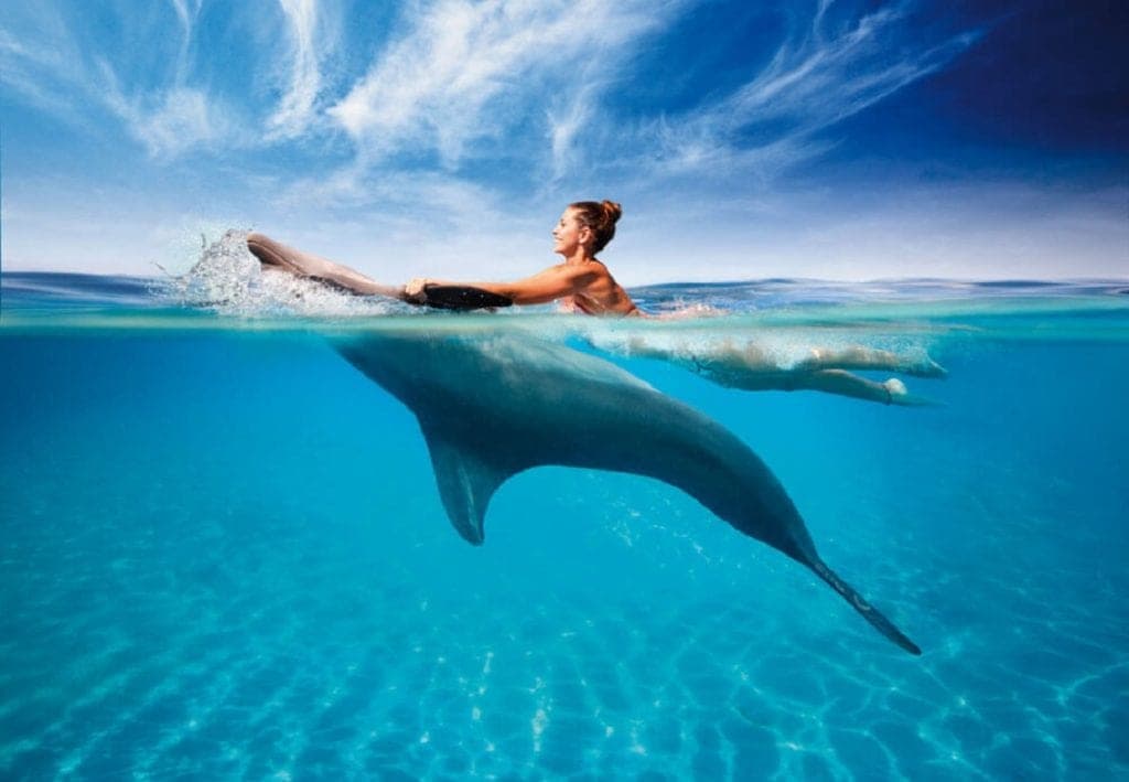 Playenses piden en redes sociales no fomentar los nados con delfines