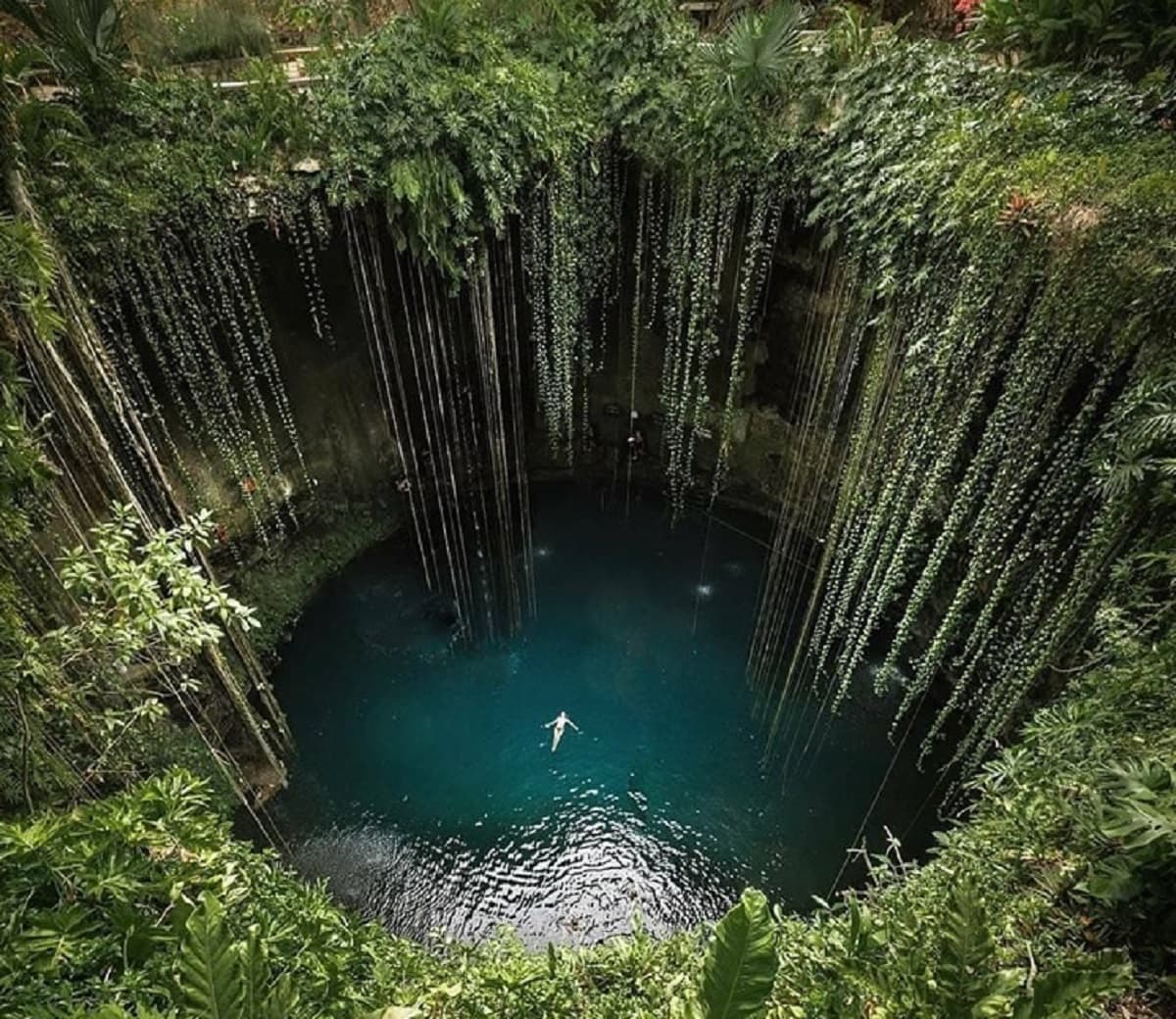 Fue un cometa lo que acabó con los dinosaurios e impactó en Yucatán: nuevo estudio