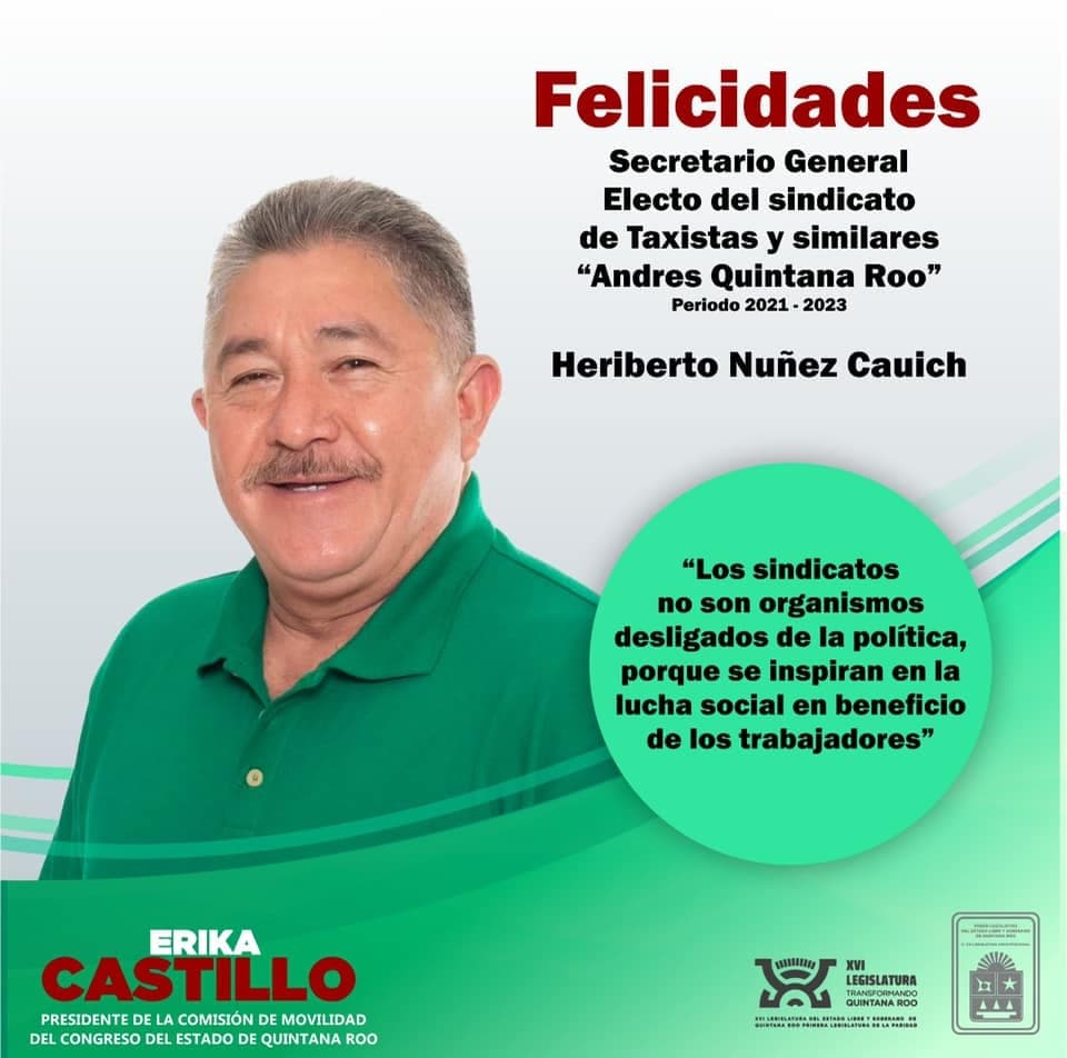 Acusa "La Ola Verde" a la diputada Erika Castillo de ser "una cínica"