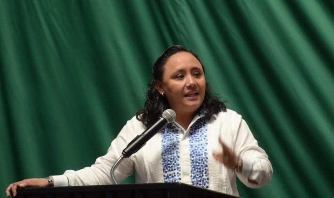 Cristina Torres no se inscribió como precandidata del PAN en Solidaridad