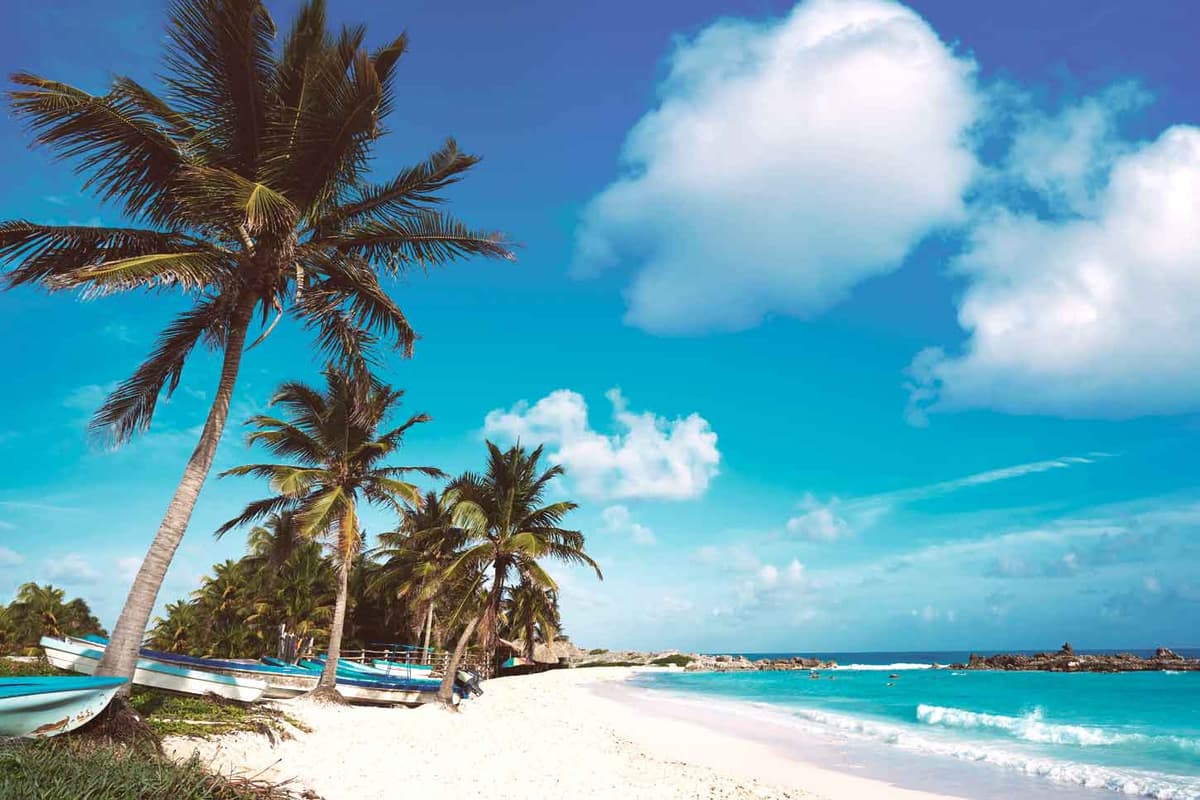 Cozumel recibió casi 126 mil visitantes durante enero