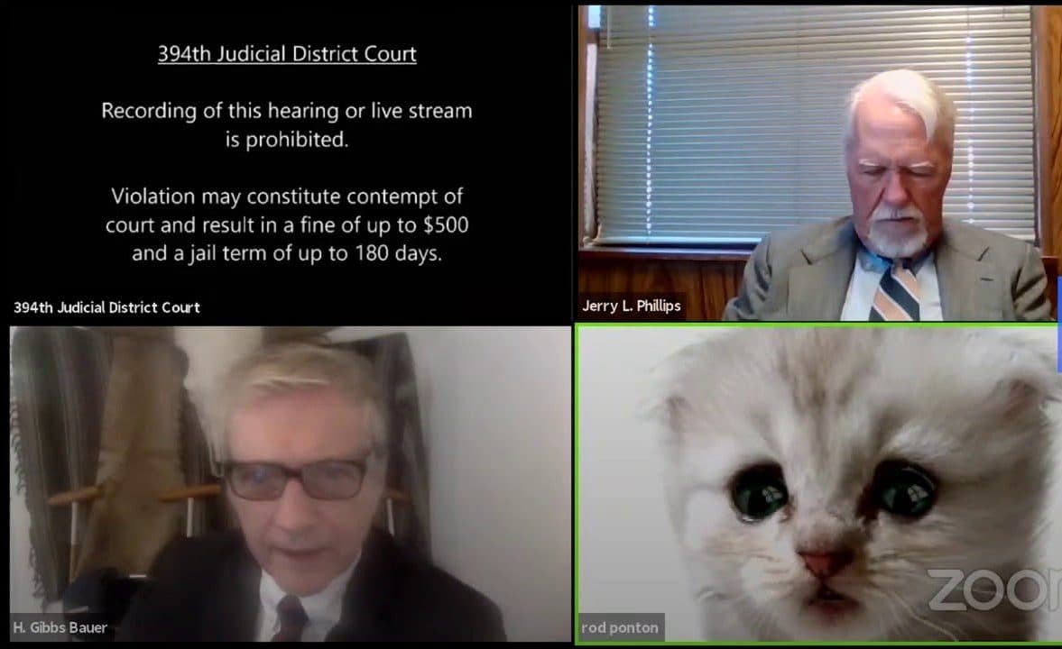 "No soy un gato" el filtro de zoom que le jugó una mala pasada a un abogado estadounidense