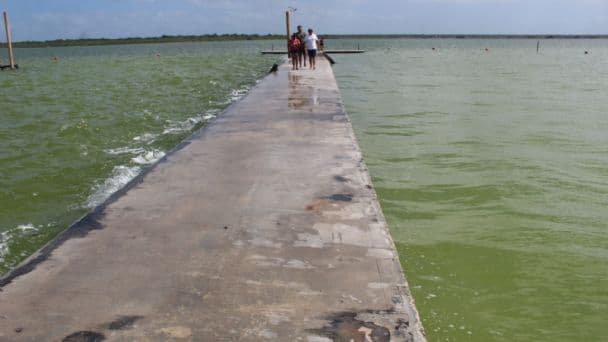 Laguna de Bacalar podría no recuperar sus siete colores