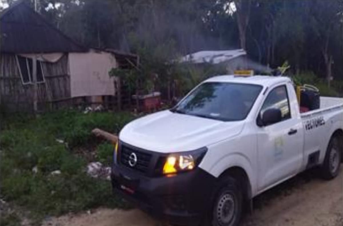 Ayuntamiento de Tulum realiza control larvario para prevenir enfermedades