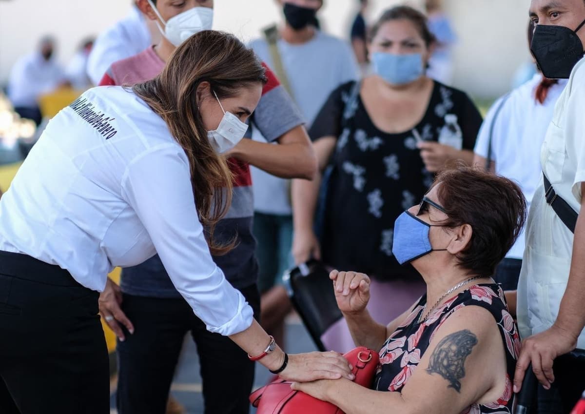 Cozumel: Rescata Subdirección de Ecología ejemplar de Venado cola blanca