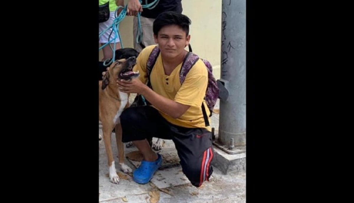 De luto SOS El Arca: asesinan a joven cuidador de animales