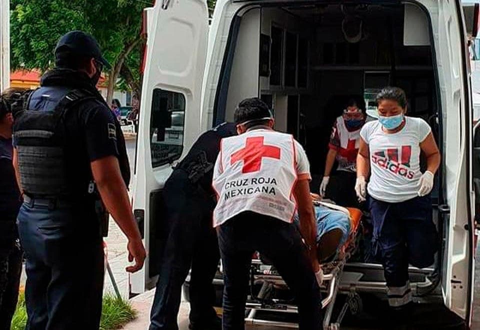 Hospitalizan de emergencia a abuelita por ataque de abejas en Chetumal