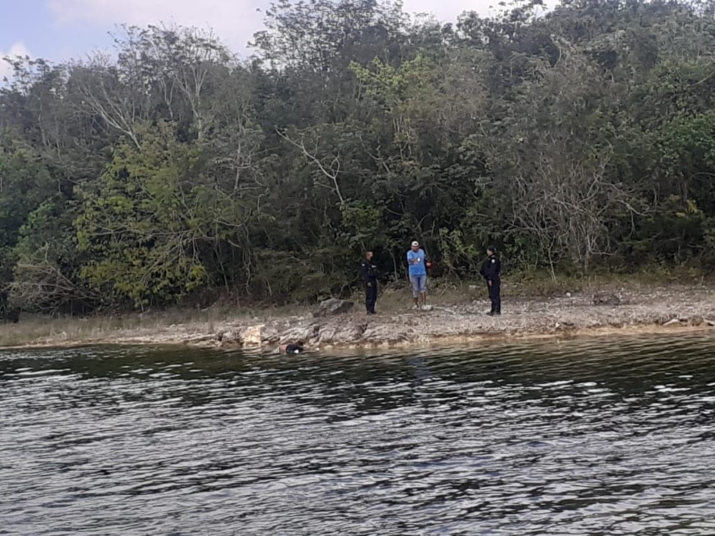 Sujeto muere ahogado en laguna urbana de Cancún