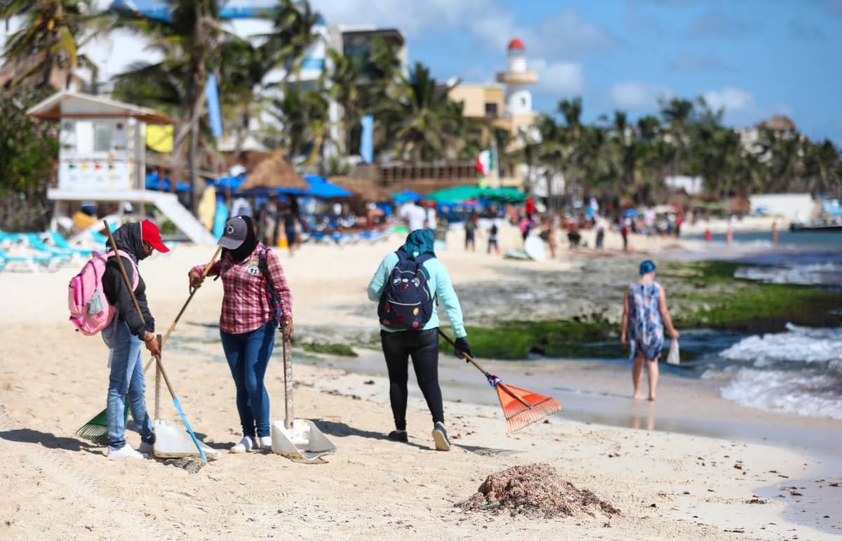 En marcha, plan integral de manejo de sargazo en Playa del Carmen