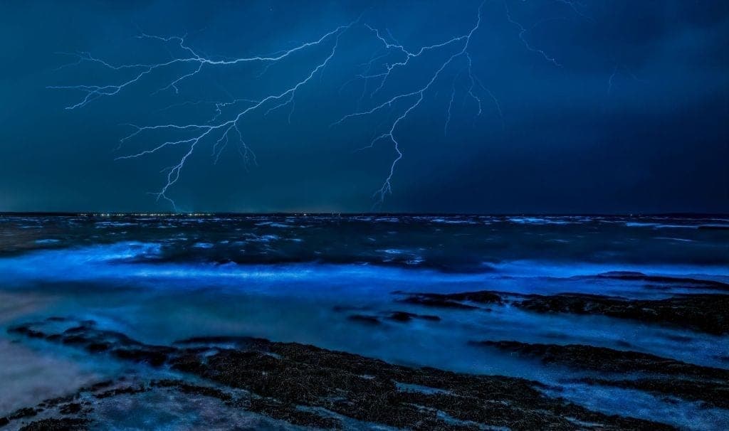 Destinos maravillosos con bioluminiscencia en México que no debes perderte
