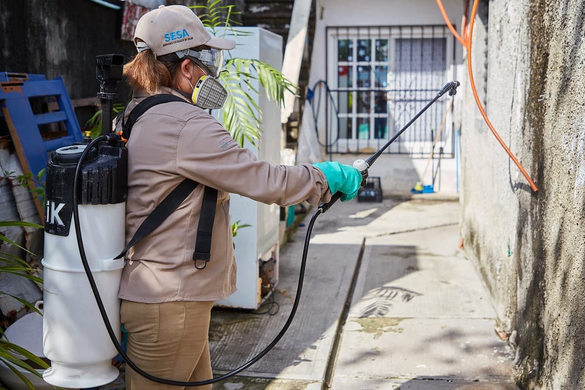 Gracias a acciones preventivas, Cozumel continúa libre de enfermedades transmitidas por vector