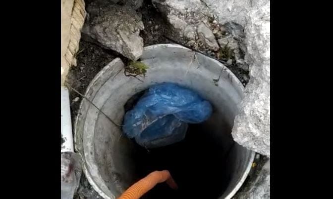 Cancún: Perrito cae en un hoyo y trabajan para rescatarlo