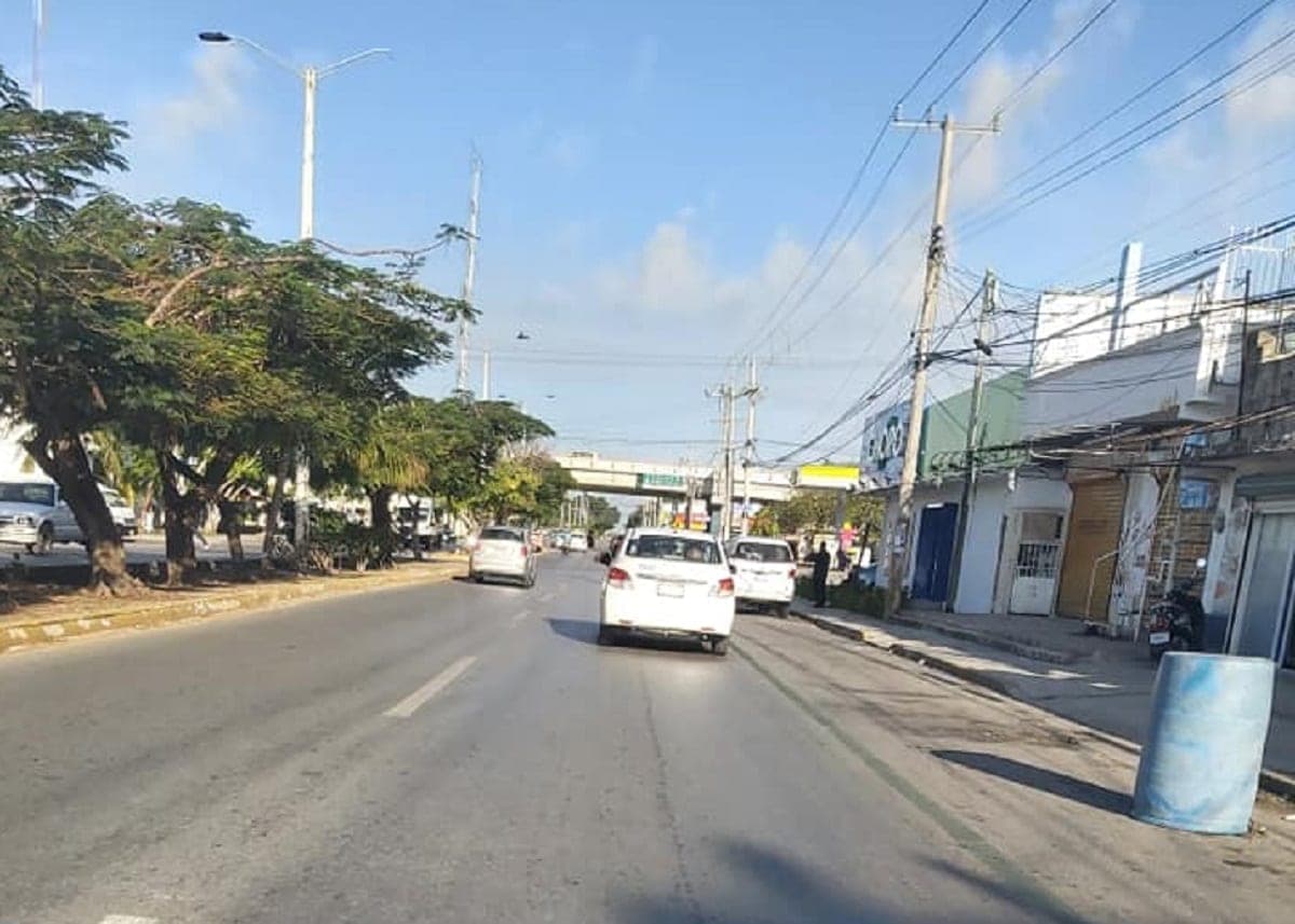 Acusan a taxista de Playa del Carmen por casi aventar a peatones y atropellar al perrito