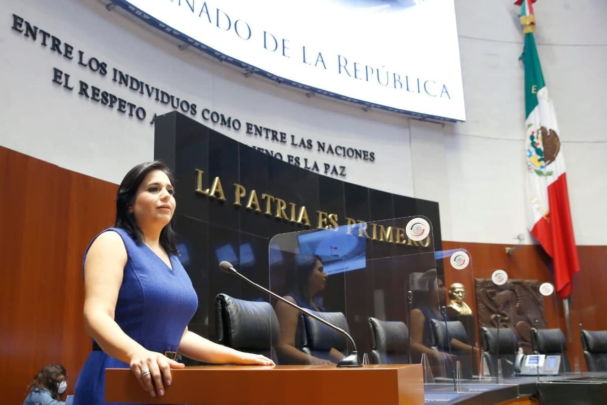 Reforma Eléctrica de Morena repercutirá de forma negativa la economía de las familias: Mayuli Martínez