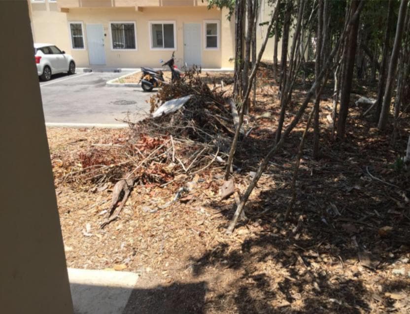 Denuncian vecinos de Jardines de Mayakoba inseguridad, deficiencias y fraudes